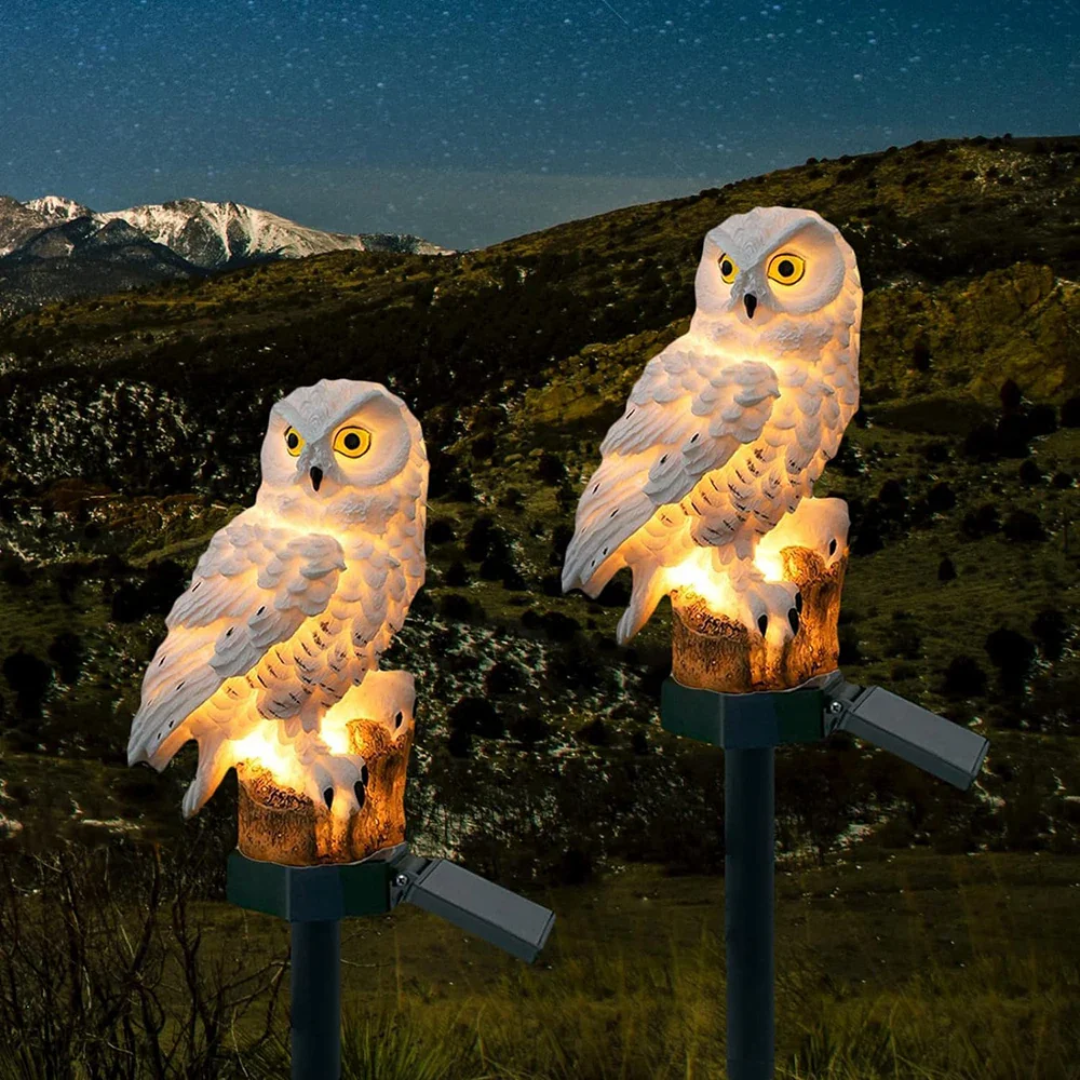 Solar Garden Light – Charming Owl Solar Lantern with Warm White LED for Outdoor Lighting Lasson Living