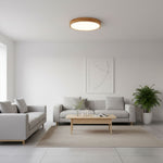 Modern Nordic Round Wooden LED Flush Mount Ceiling 1-Light Lasson Living