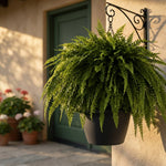 Artificial Fern Evergreen Hanging Fern For Porch & Patio No Watering Needed - Image 1