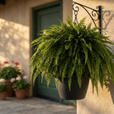 Artificial Fern Evergreen Hanging Fern For Porch & Patio No Watering Needed - Image 1