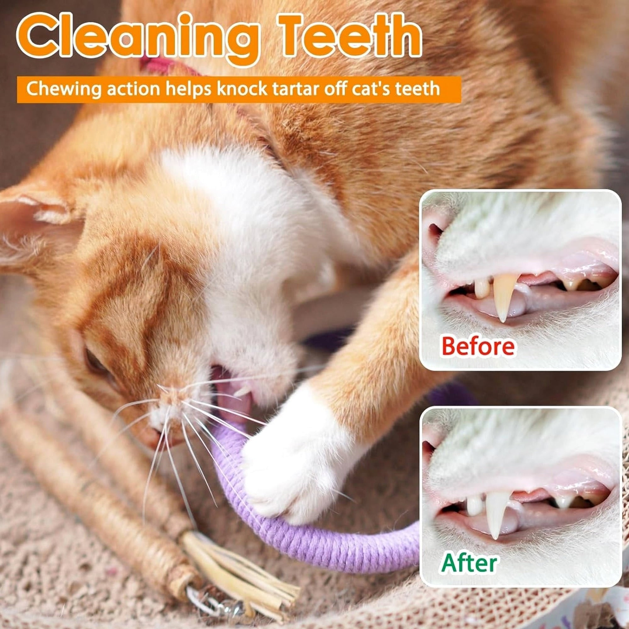 Cat Chew Toy With Silvervine Balls And Cotton Rope For Dental Cleaning - Image 9