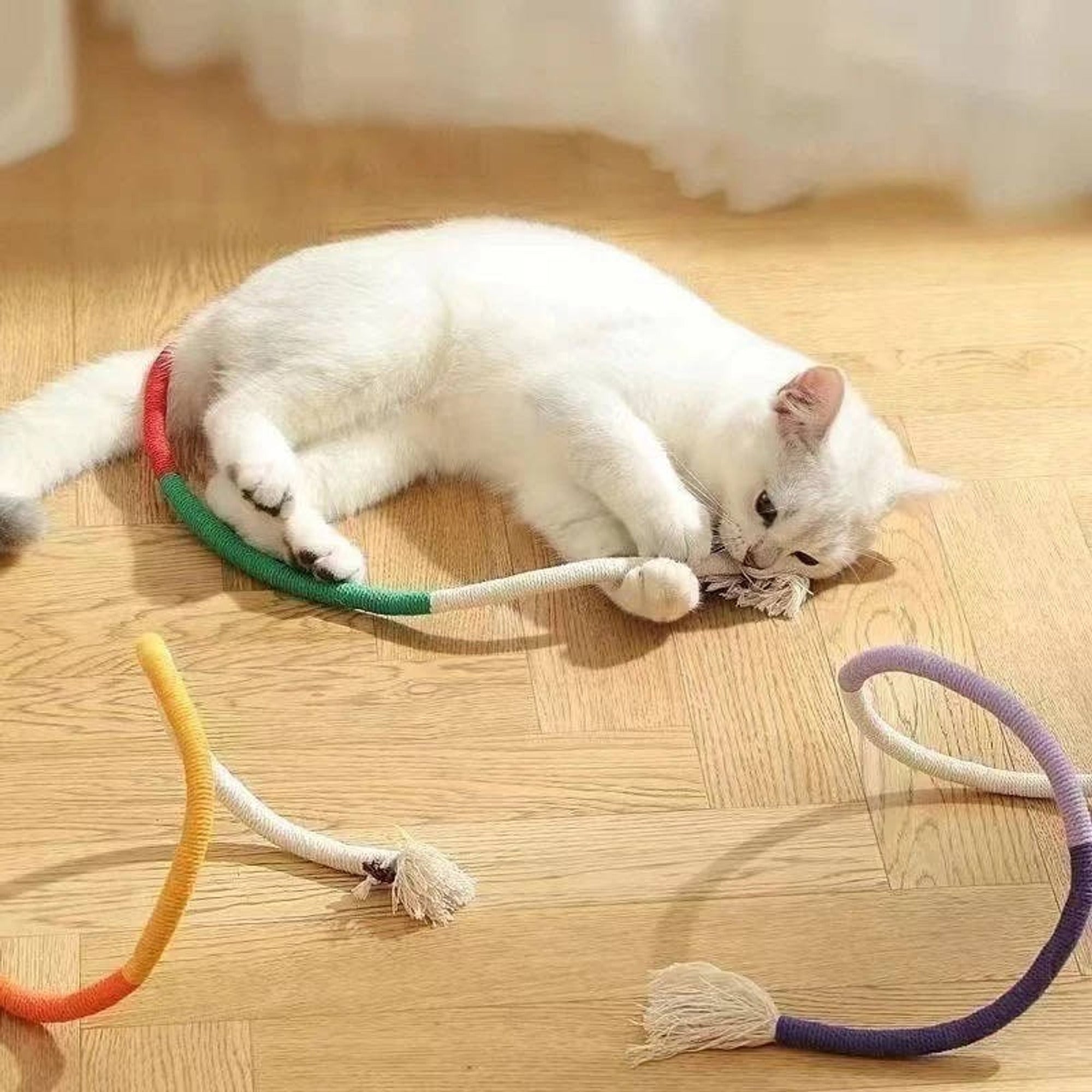 Cat Chew Toy With Silvervine Balls And Cotton Rope For Dental Cleaning - Image 7