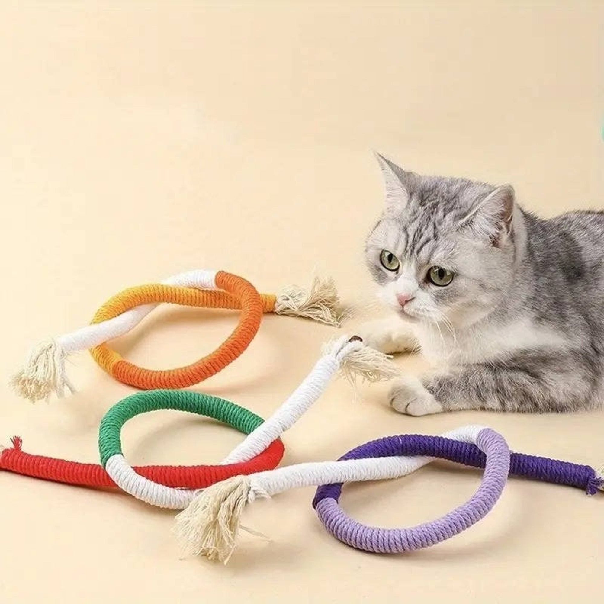 Cat Chew Toy With Silvervine Balls And Cotton Rope For Dental Cleaning - Image 8