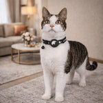 Cat GPS Collar With Reflective Safety Design And Quick-Release Buckle - Image 1