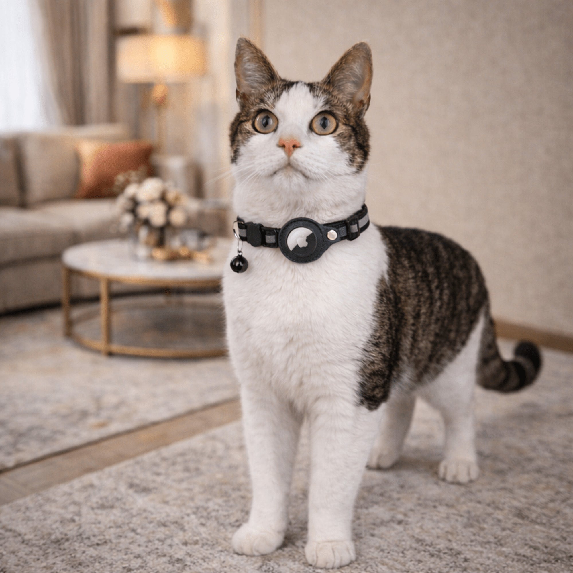 Cat GPS Collar With Reflective Safety Design And Quick-Release Buckle - Image 1