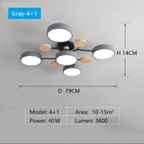 Ceiling Light Fixture Modern Geometric Iron Frame With Circular Shade Wooden Accents - Image 10