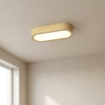 Ceiling Light LED Flush Mount Oval Finish For Hallway Living Room - Image 1