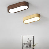 Ceiling Light LED Flush Mount Oval Finish For Hallway Living Room - Image 5
