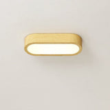 Ceiling Light LED Flush Mount Oval Finish For Hallway Living Room - Image 6