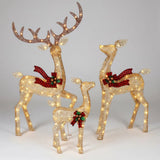 Christmas LED Reindeer Set With Warm Lights For Outdoor Garden Display - Image 1