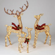 Christmas LED Reindeer Set With Warm Lights For Outdoor Garden Display - Image 1