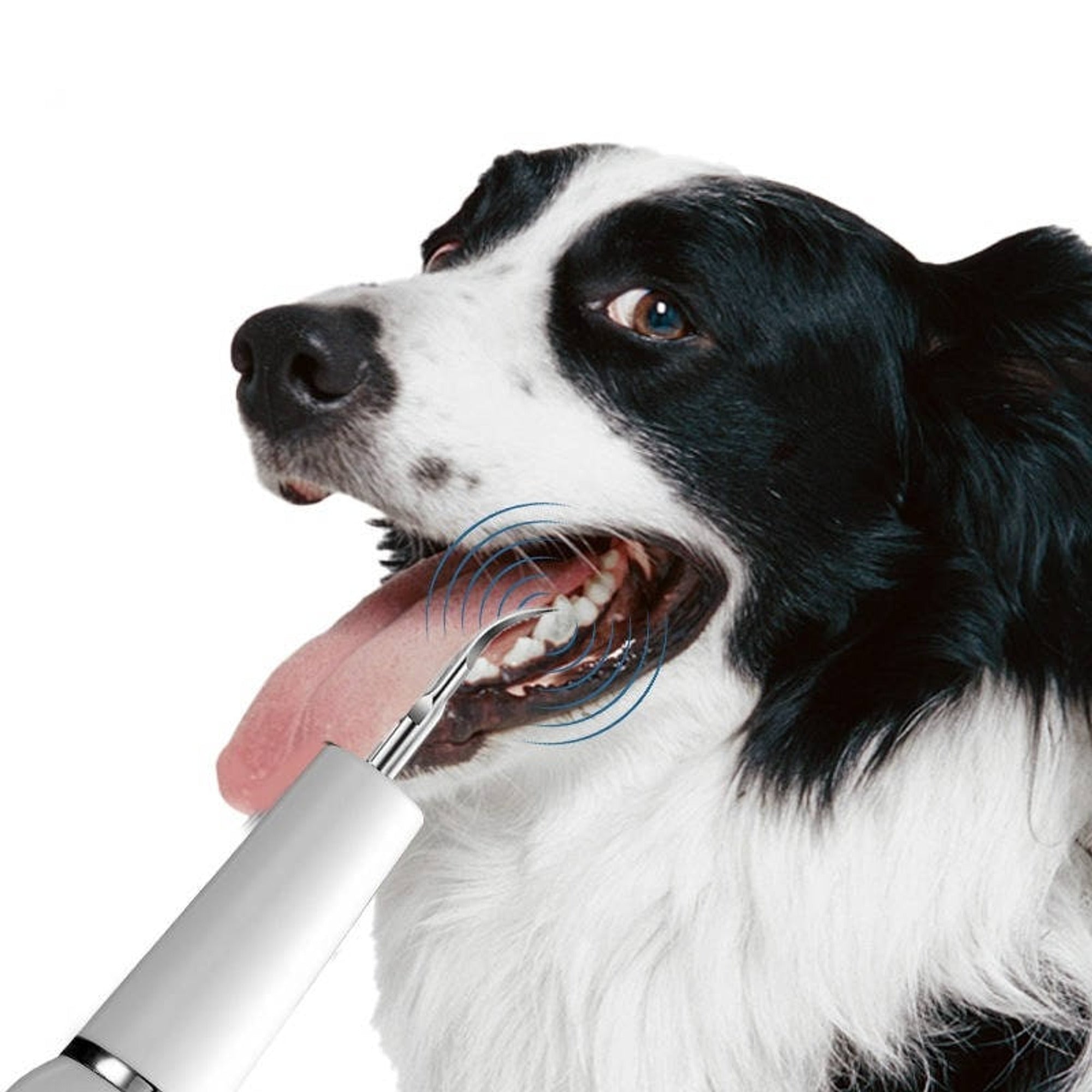 Dog Plaque Tartar Calculus Remover Ultrasonic Dog Dental Cleaner At Home - Image 2