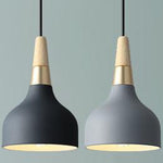 Modern Macaron Disc Pendant 1-Light Lasson Living