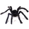 Halloween Spider Decoration Giant Poseable Black Furry With Scary Red Eyes For Decor - Image 5