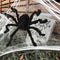 Halloween Spider Decoration Giant Poseable Black Furry With Scary Red Eyes For Decor - Image 3
