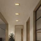 LED Ceiling Lights Flush Mount Oval Lamp For Hallway Living Room - Image 2