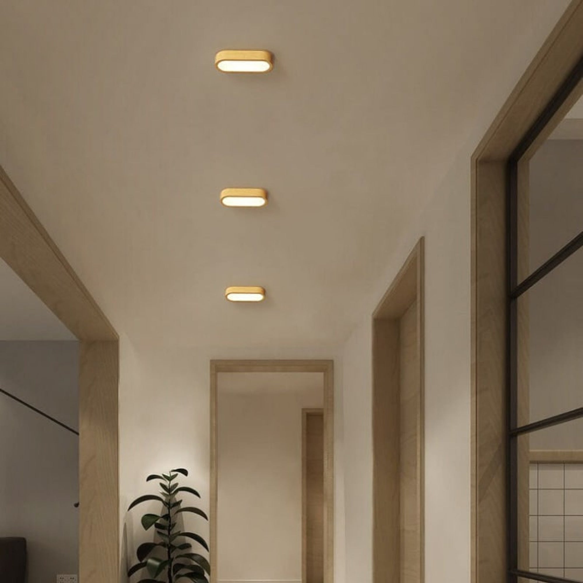 LED Ceiling Lights Flush Mount Oval Lamp For Hallway Living Room - Image 2