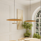 LED Ceiling Lights Round Modern Dimmable Hanging Fixture With Remote Control - Image 3