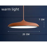 LED Chandeliers Pendant Lamp Iron Bedroom Home Indoor - Image 18