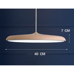 LED Chandeliers Pendant Lamp Iron Bedroom Home Indoor - Image 19