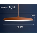 LED Chandeliers Pendant Lamp Iron Bedroom Home Indoor - Image 28