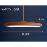 LED Chandeliers Pendant Lamp Iron Bedroom Home Indoor - Image 28
