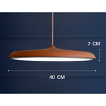 LED Chandeliers Pendant Lamp Iron Bedroom Home Indoor - Image 32
