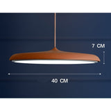LED Chandeliers Pendant Lamp Iron Bedroom Home Indoor - Image 32