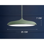 LED Chandeliers Pendant Lamp Iron Bedroom Home Indoor - Image 36