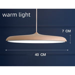 LED Chandeliers Pendant Lamp Iron Bedroom Home Indoor - Image 5