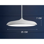 LED Chandeliers Pendant Lamp Iron Bedroom Home Indoor - Image 6