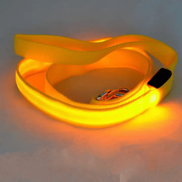 LED Dog Leash With USB Rechargeable Battery And Reflective Stitching - Image 6
