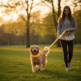 LED Dog Leash With USB Rechargeable Battery And Reflective Stitching - Image 2