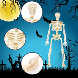 Mini Skeleton Figures Halloween Lanterns & Candlelight Party Decoration Vielseitige Dekoration Skelettfiguren - Image 3