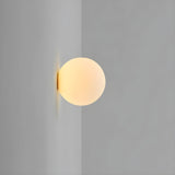 Modern Frosted Glass Globe Wall Lamp Sconce - Image 9