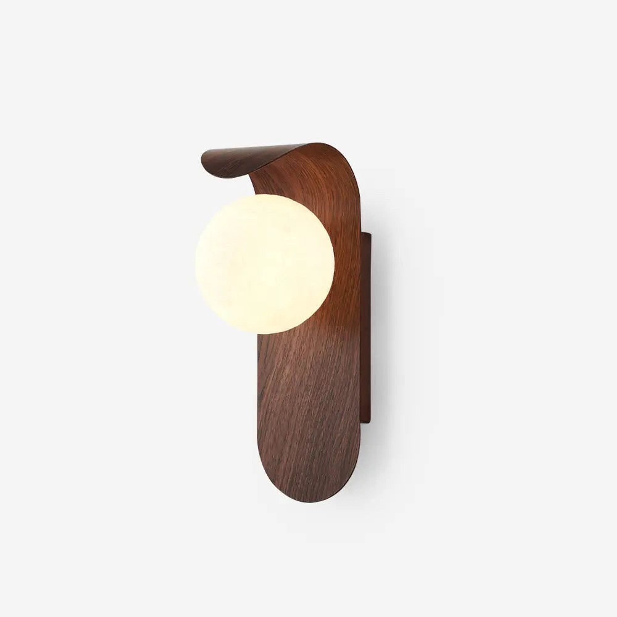 Modern Wooden Wall Mounted Globe Sconces With Glass Diffuser - Image 5