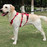 Nopull Dog Harness With Reflective Strips And Escape-Proof Fit For Secure Walks - Image 9