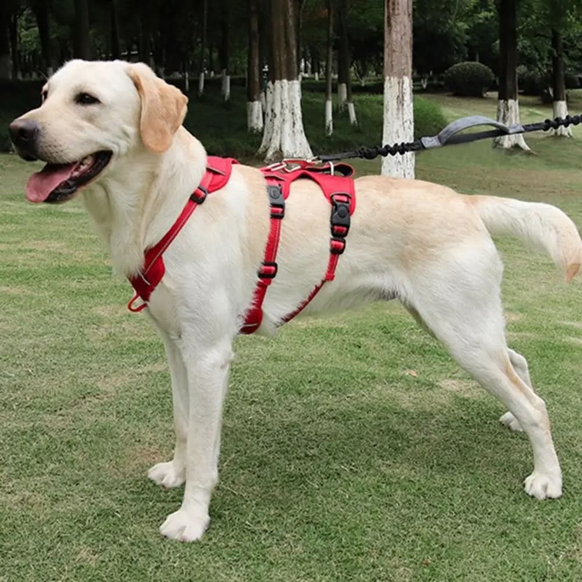 Nopull Dog Harness With Reflective Strips And Escape-Proof Fit For Secure Walks - Image 2