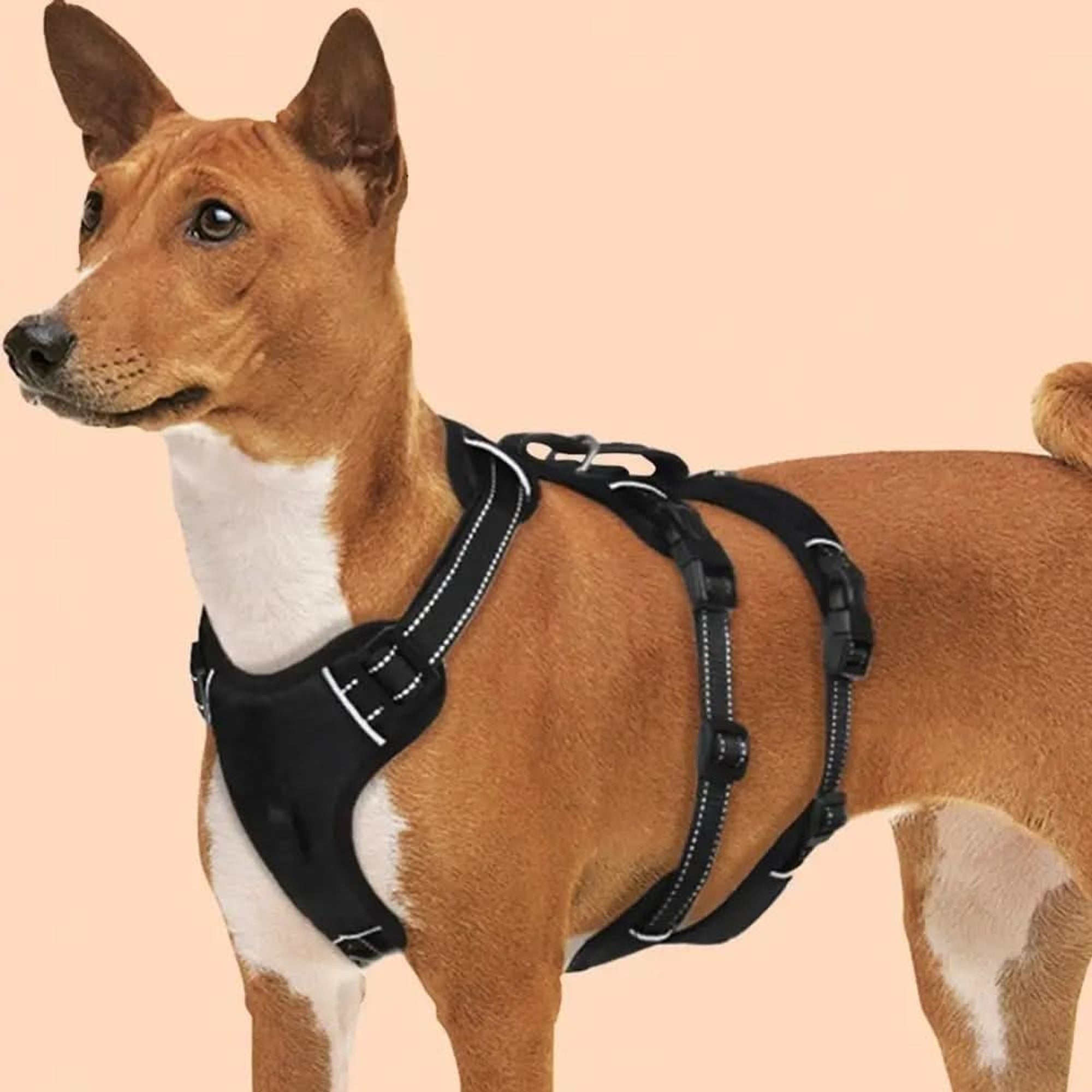 Nopull Dog Harness With Reflective Strips And Escape-Proof Fit For Secure Walks - Image 3