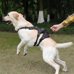 Nopull Dog Harness With Reflective Strips And Escape-Proof Fit For Secure Walks - Image 4
