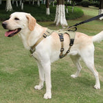 Nopull Dog Harness With Reflective Strips And Escape-Proof Fit For Secure Walks - Image 1