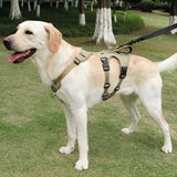 Nopull Dog Harness With Reflective Strips And Escape-Proof Fit For Secure Walks - Image 1