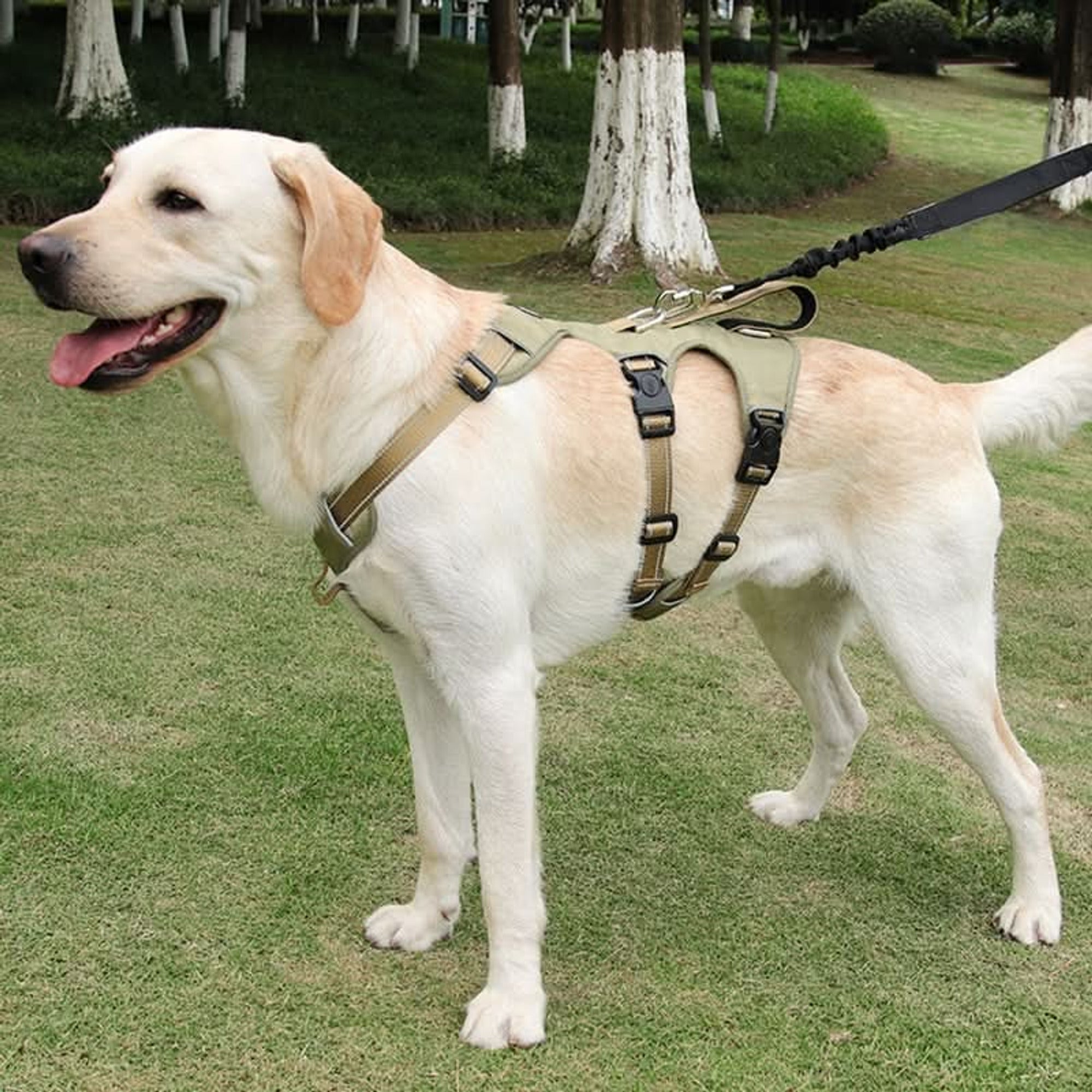 Nopull Dog Harness With Reflective Strips And Escape-Proof Fit For Secure Walks - Image 1
