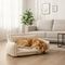 Orthopedic Dog Bed With Memory Foam And Removable Washable Cover - Image 1