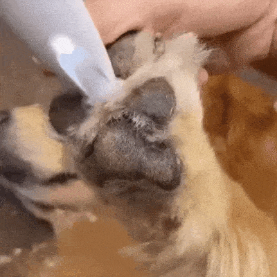 Silent Pet Trimmer Cordless Hair Clipper For Sensitive Areas On Dogs And Cats - Image 9