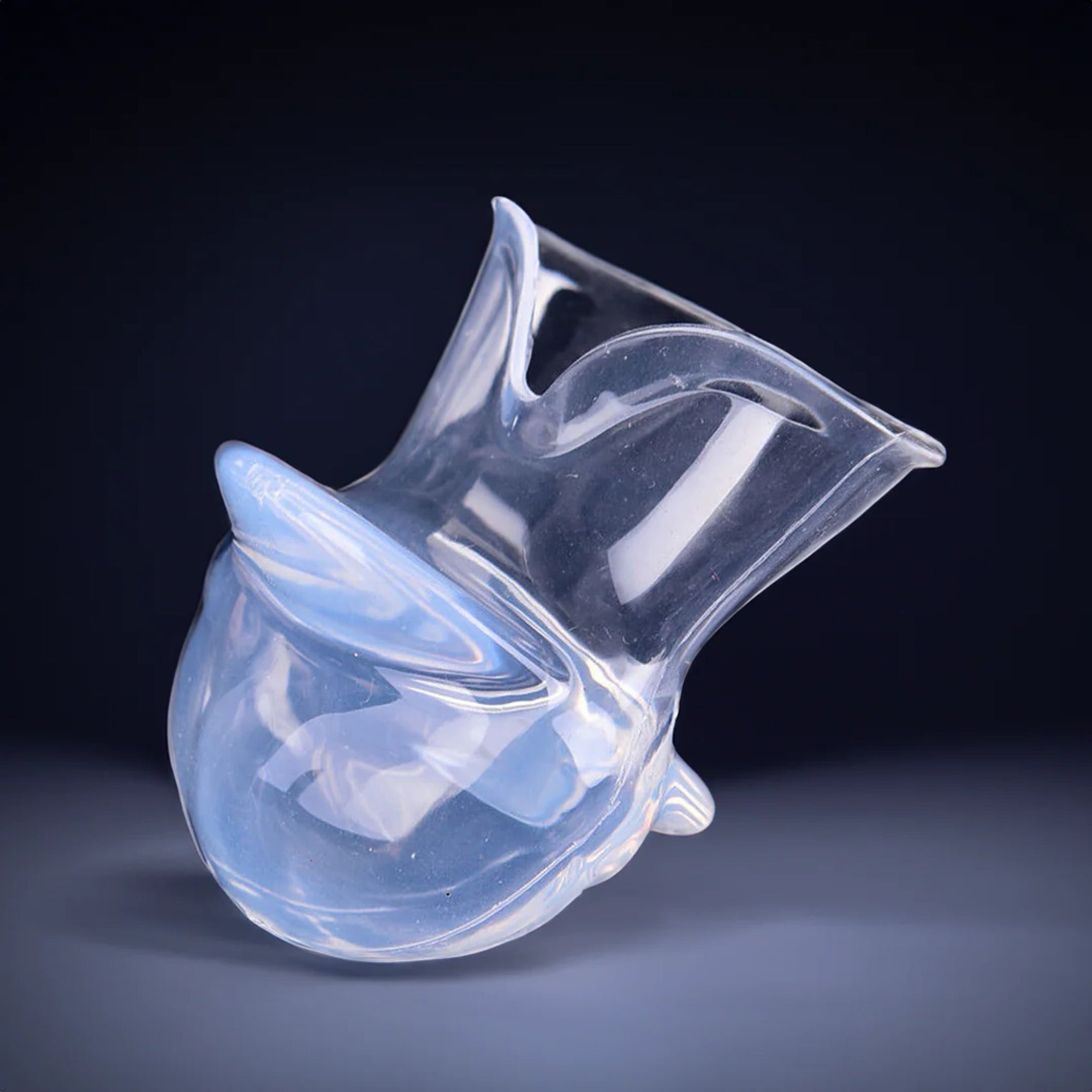 Silicone Health - Image 1