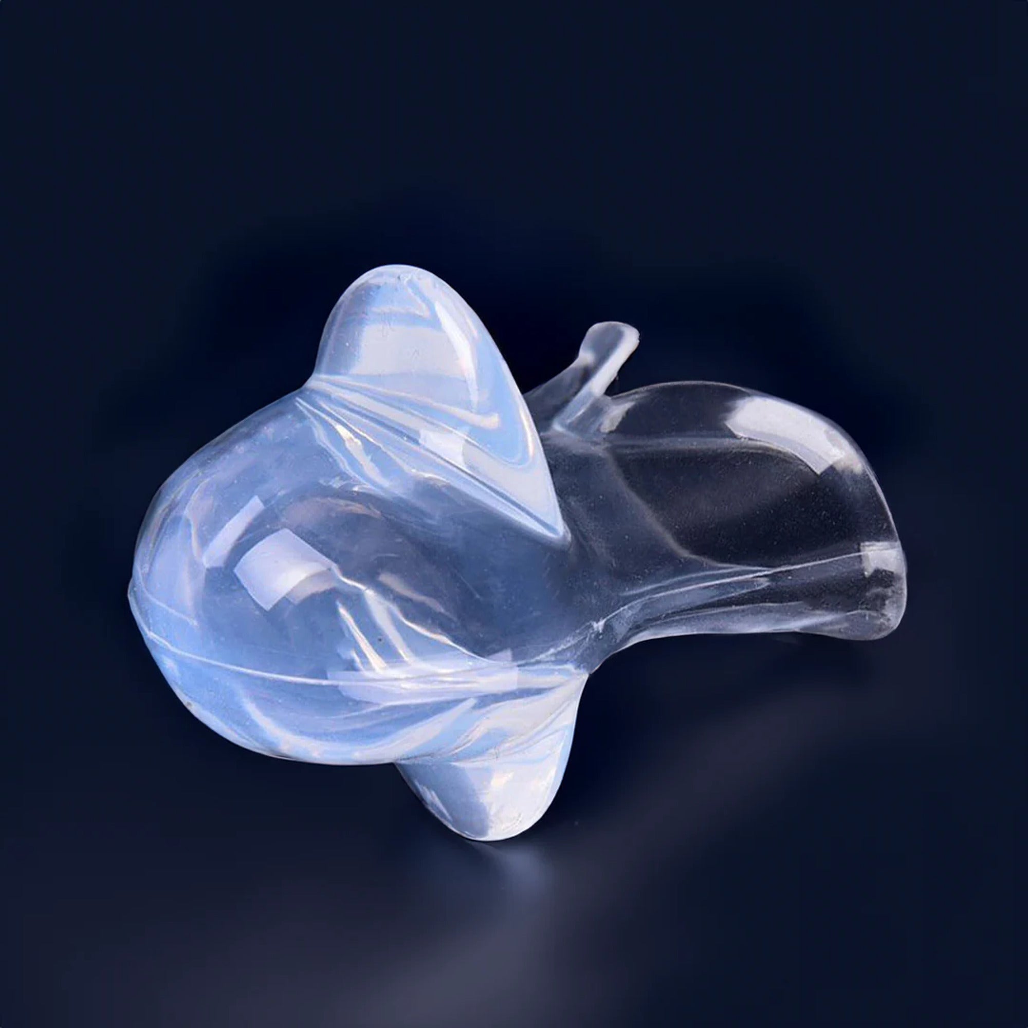 Silicone Health - Image 2