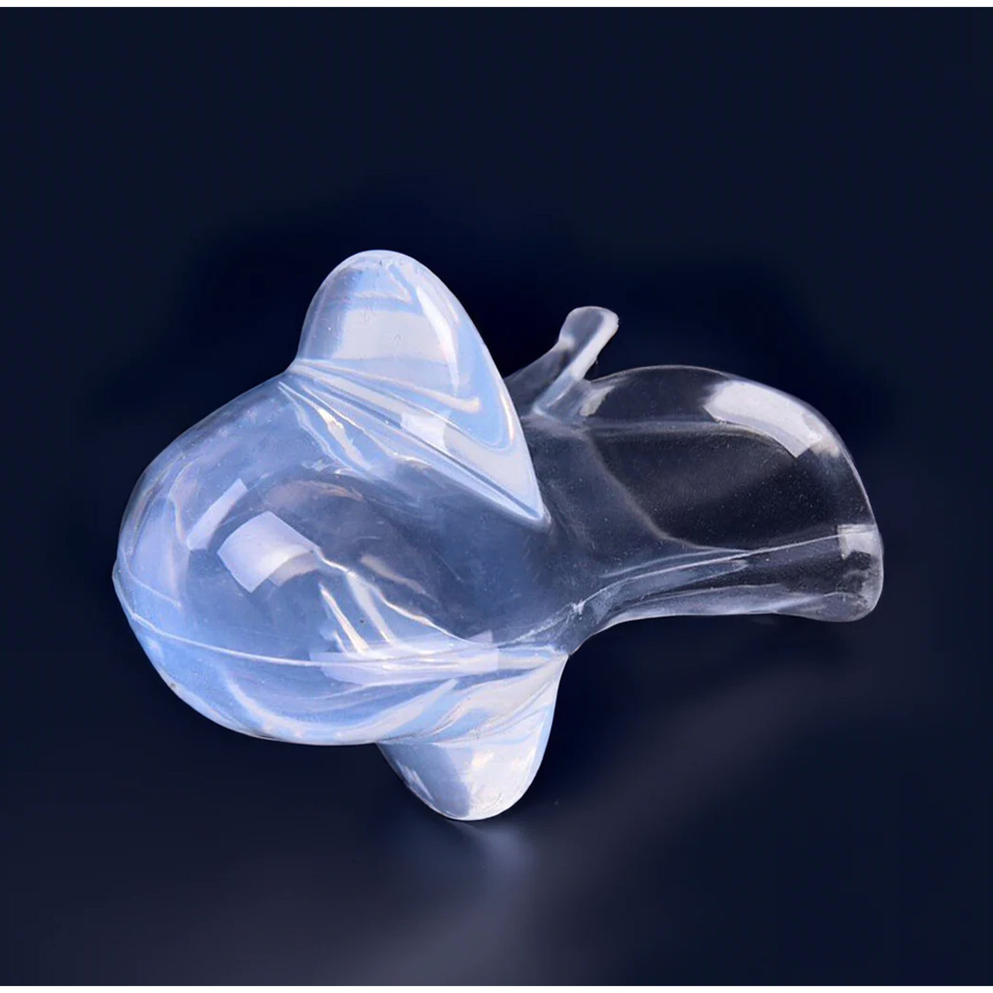 Silicone Health - Image 5