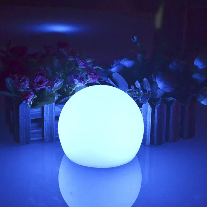 Modern PE Globe Outdoor Garden Light LED Rechargeable Lasson Living