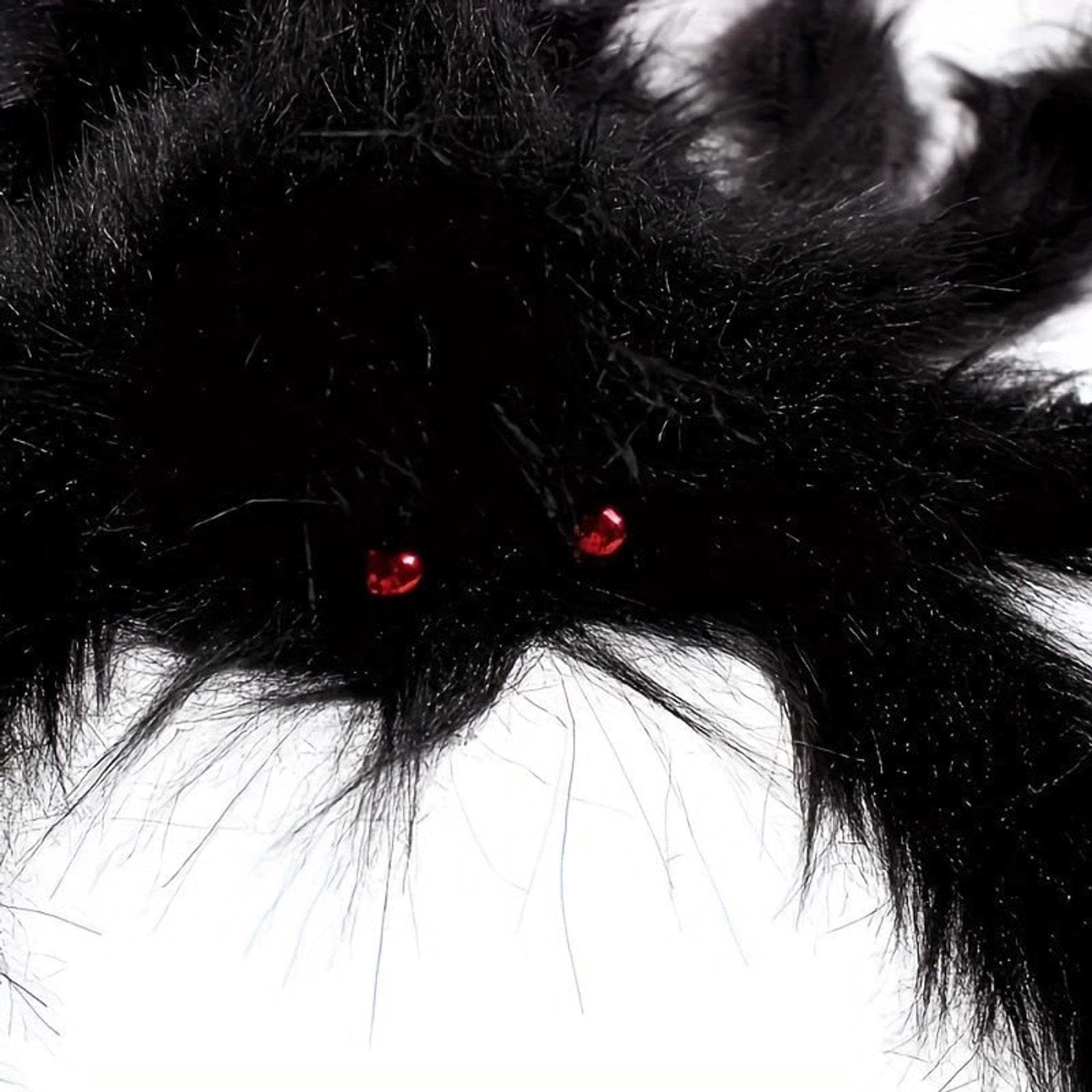 Spider Decorations For Halloween Lanterns & Candlelight Set Of 2 Large 50cm Spiders With Stretchable Web Indoor Outdoor Use - Image 3